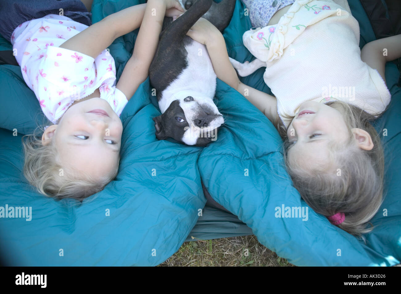 Young sisters and their dog on sleeping bags Stock Photo