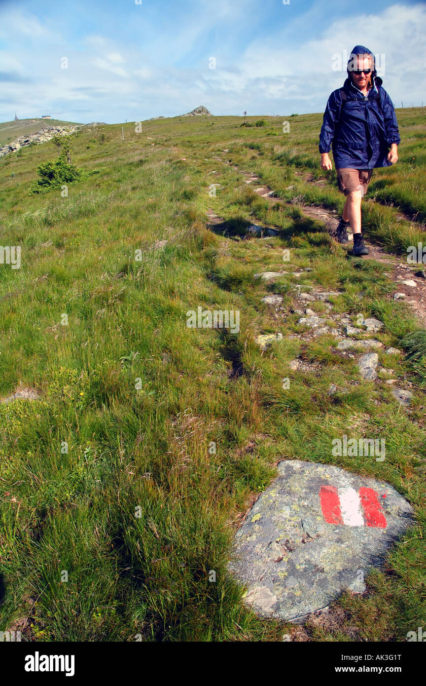 Hiker in summer along the Hochwechsel ridge with trail marker in foreground Lower Austria Stock Photo