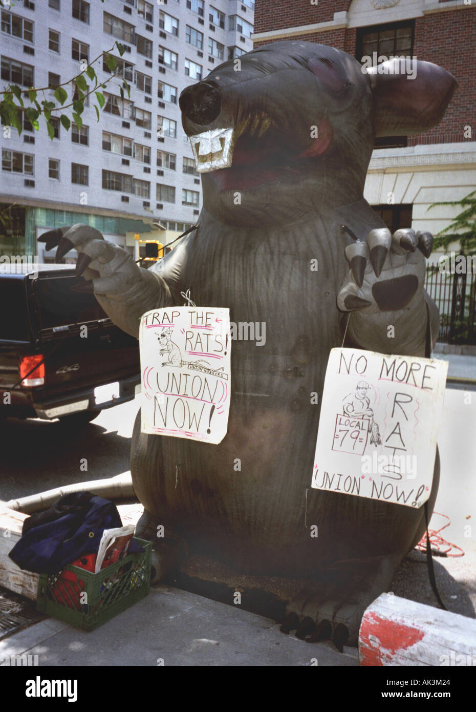 A huge inflated rat is hung with pro construction union signs at a building site in New York City Non union workers are referre Stock Photo