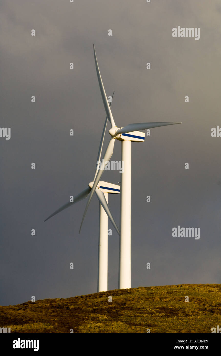 Wind turbines Shetland Scotland Stock Photo