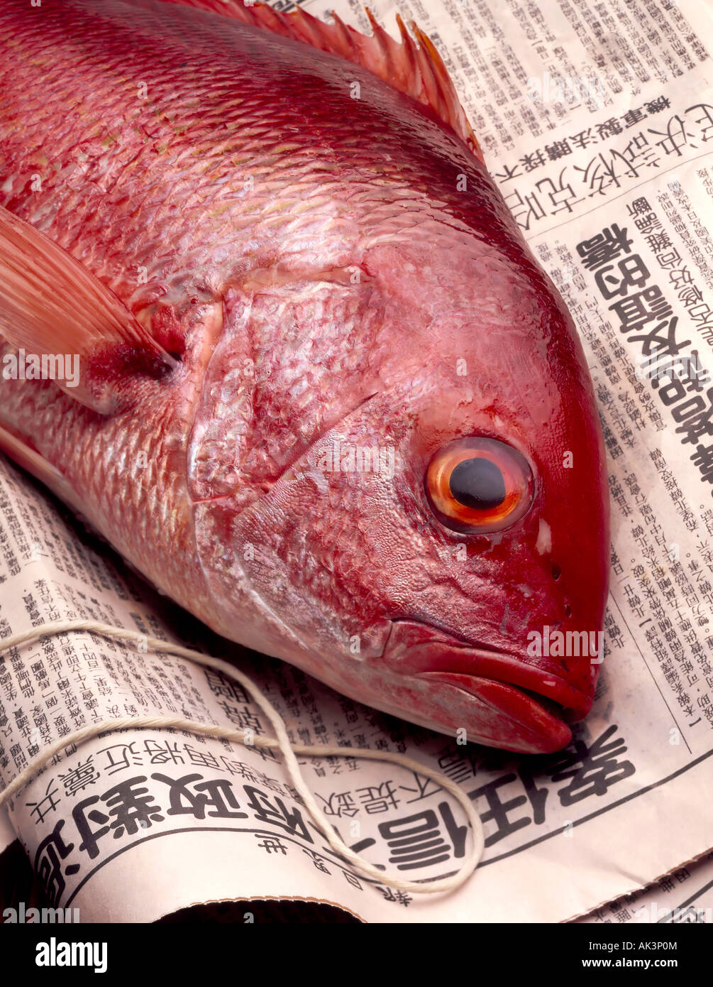 red fish in asian news paper Stock Photo
