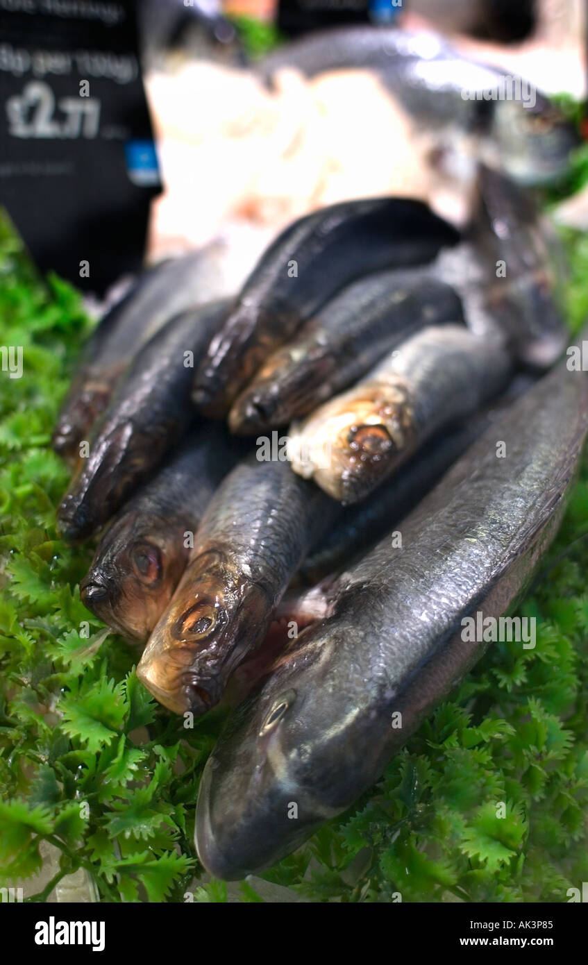 Haddock Display Supermarket haddock hi-res stock photography and images - Alamy