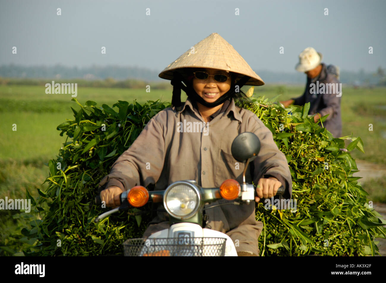 Woman wearing a cone shaped hat riding her motorbike loaded with vegetables Hoi An Vietnam Stock Photo