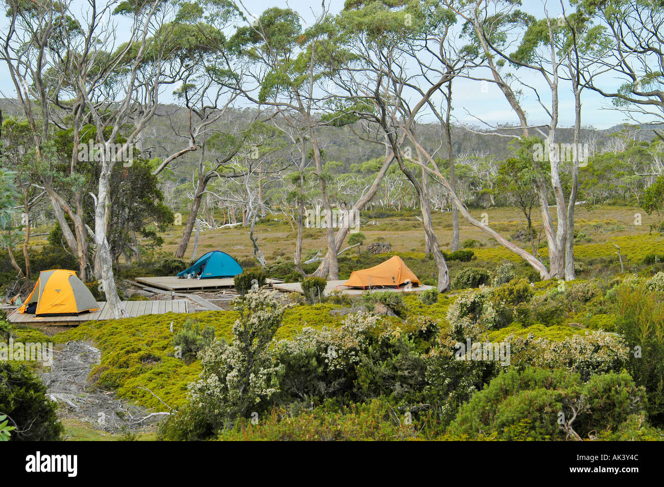 campground near Lake Windermere on Overland Track in Cradle Mountain
