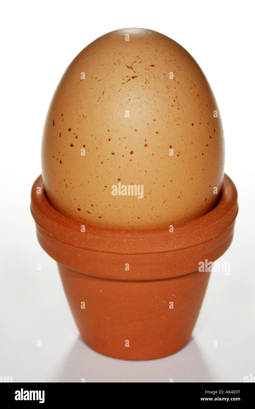 An brown egg from a hen with dark spots in an eggcup Stock Photo