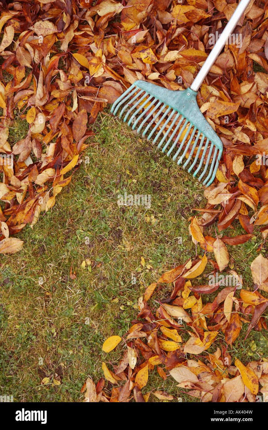 Rake leaves hi-res stock photography and images - Alamy