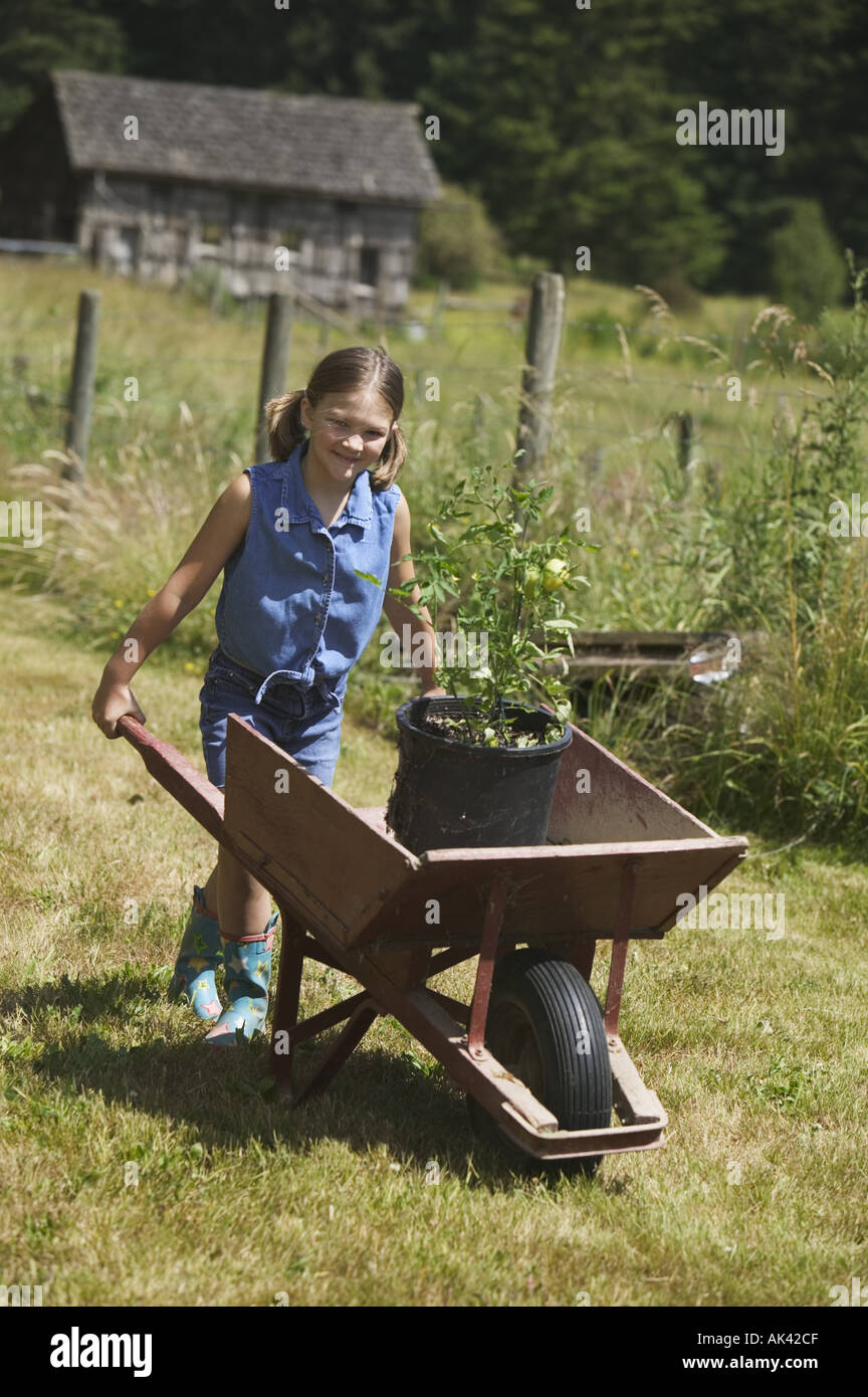 Girl pushing a wheelbarrow in the garden Stock Photo - Alamy