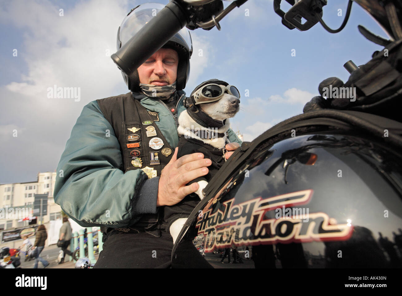 a motorcyclist with his pet dog atop his harley davidson bike in