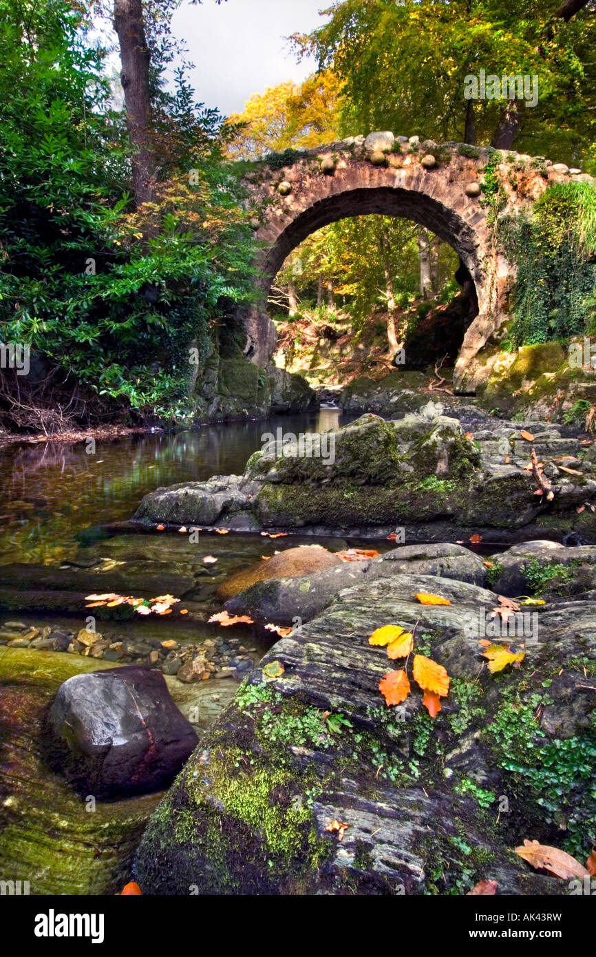 Foley's Bridge, Tollymore Stock Photo