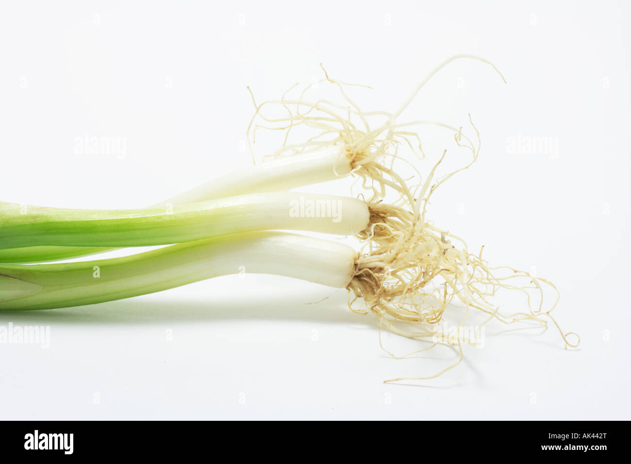 Spring Onions Stock Photo