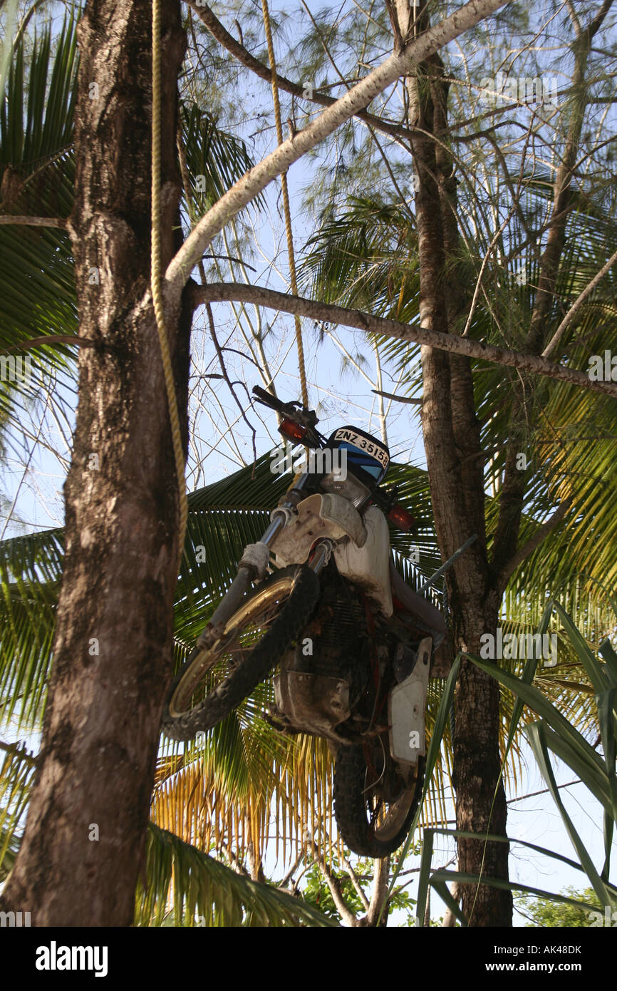 Motorbike hanging from palm trees at  Cholos Bar/Restaurant, Ras Nungwi Beach in Zanzibar Tanzania East Africa Stock Photo