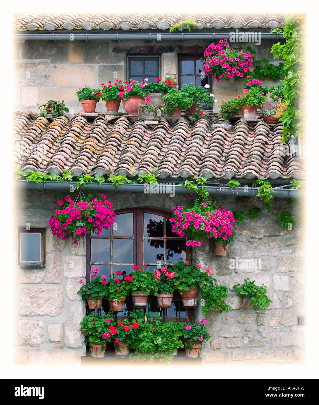 Flower pots in windows in Arles, Provence, France Stock Photo Alamy
