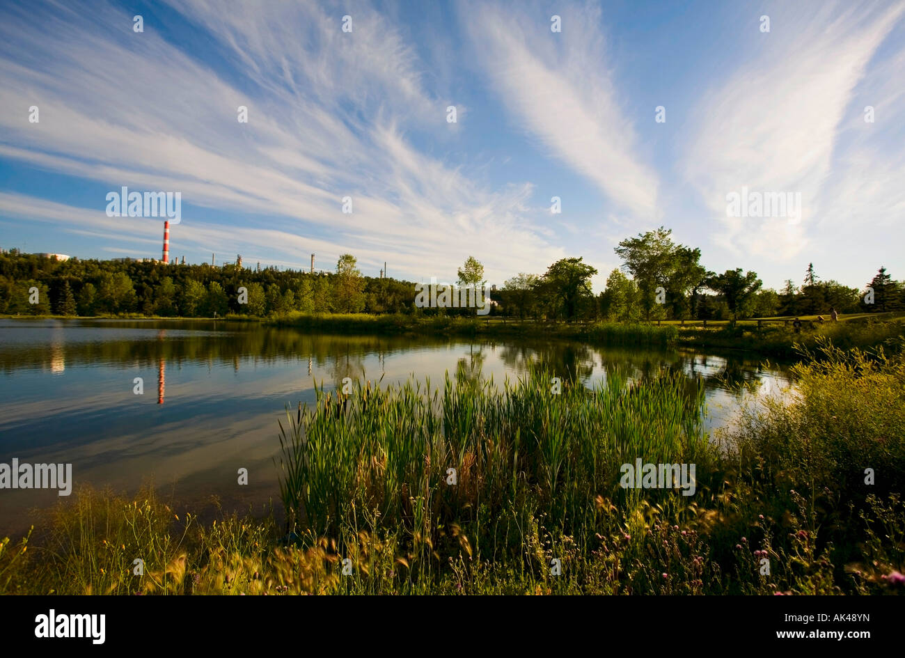 Marshland Stock Photo
