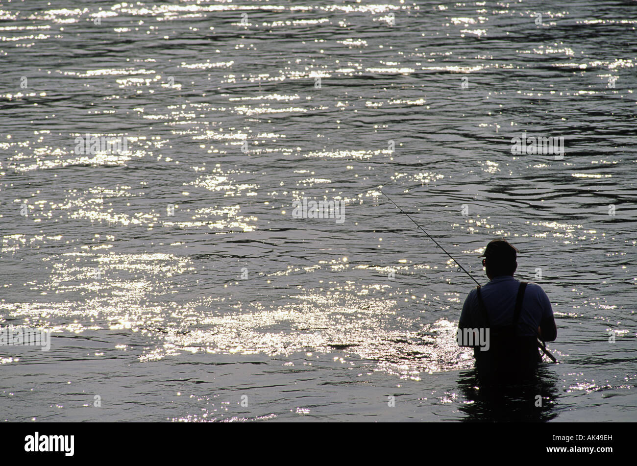 Fly fisherman Stock Photo