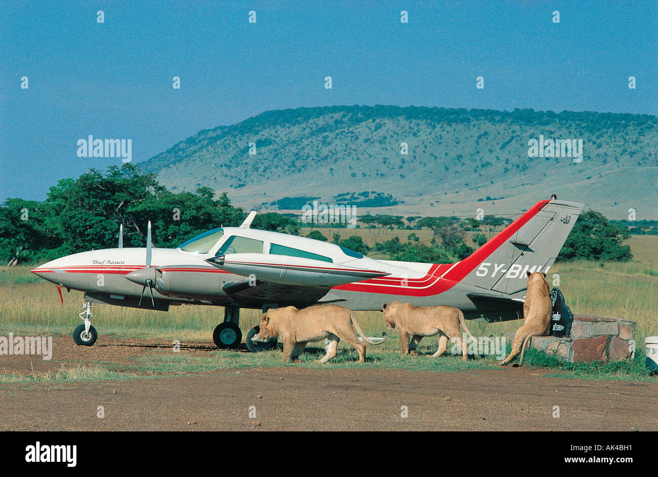 Twin engined light aircraft hi-res stock photography and images - Alamy