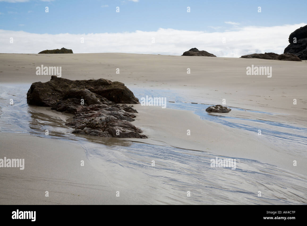 Low tide Kynance Cove Cornwall Stock Photo Alamy