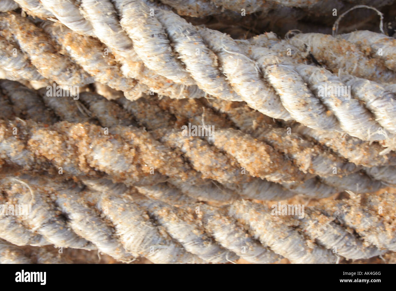 Natural cellulose fibres hi-res stock photography and images - Alamy