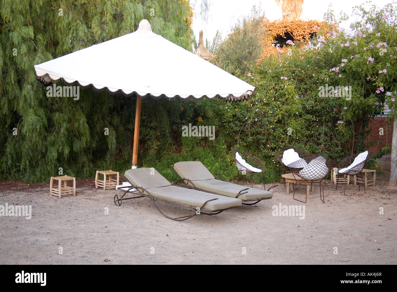 Tropical garden with sun chairs and parasol, Marrakech, Morocco, North  Africa Stock Photo - Alamy