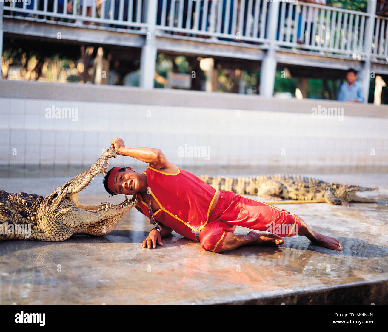 Thailand. Bangkok. Samphran Crocodile Farm. Show for tourists. Man with his head in Crocodile's mouth. Stock Photo