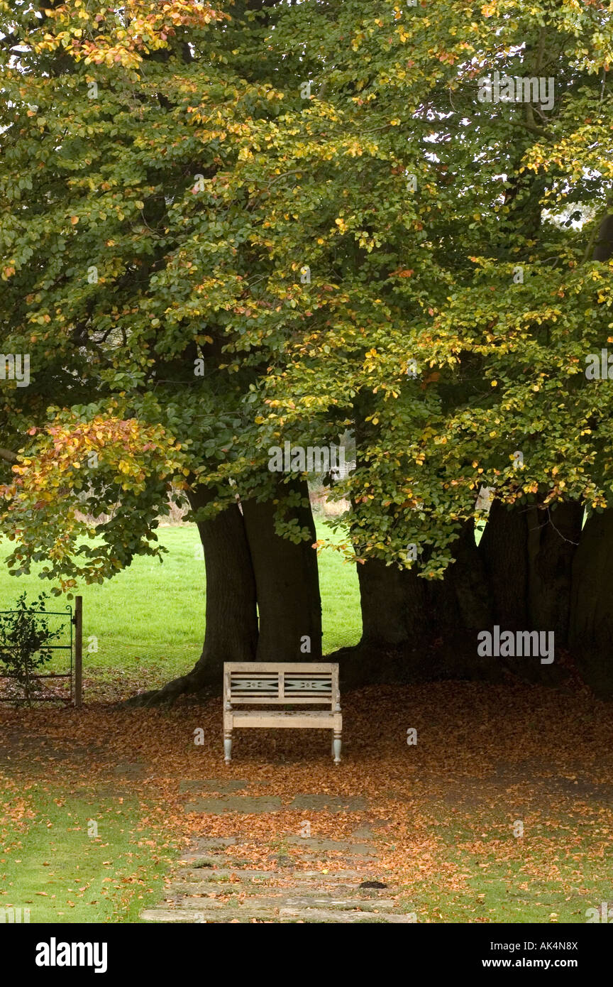 Solitary Bench In Garden Stock Photo