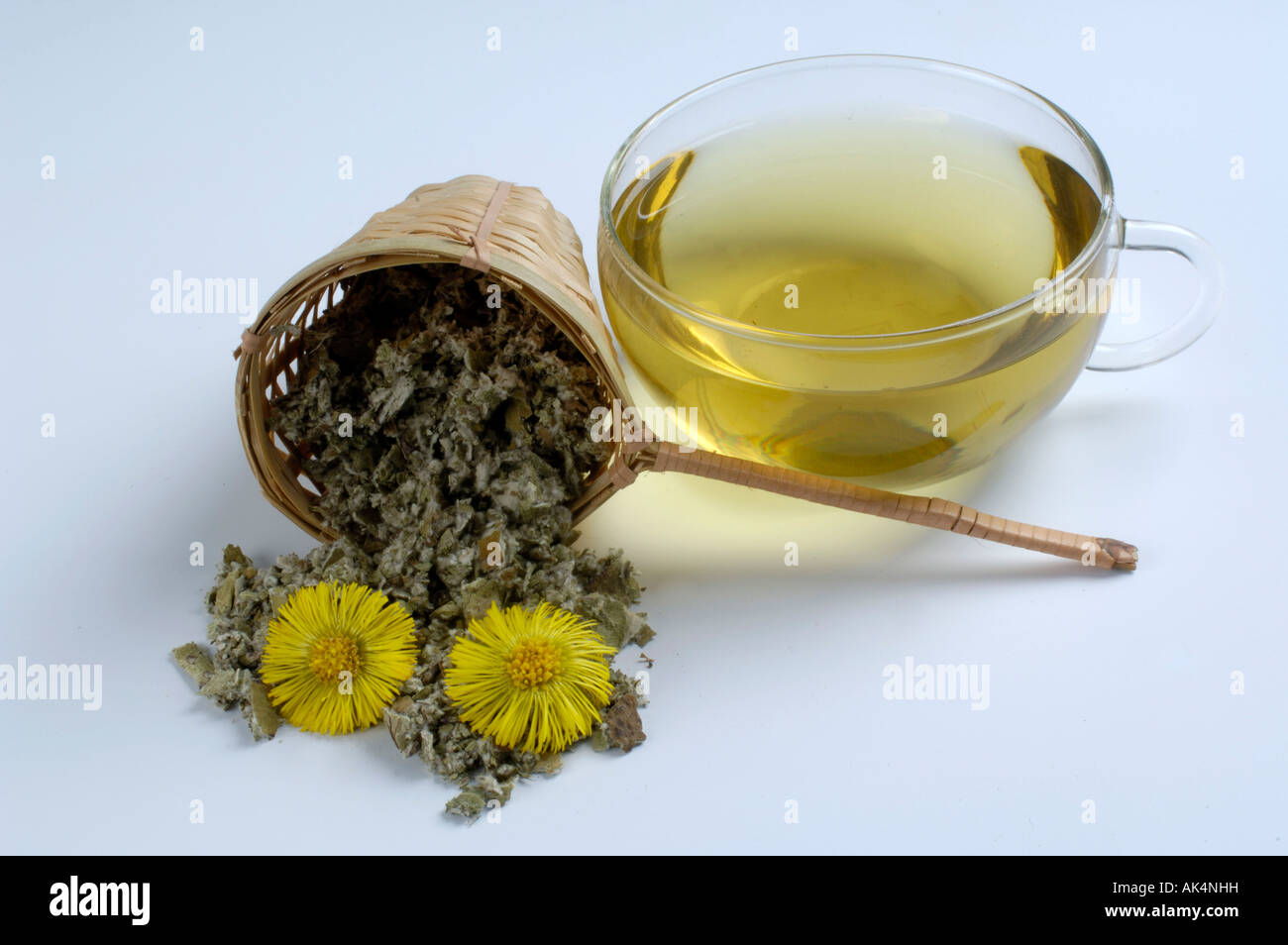 Coltsfoot Stock Photo