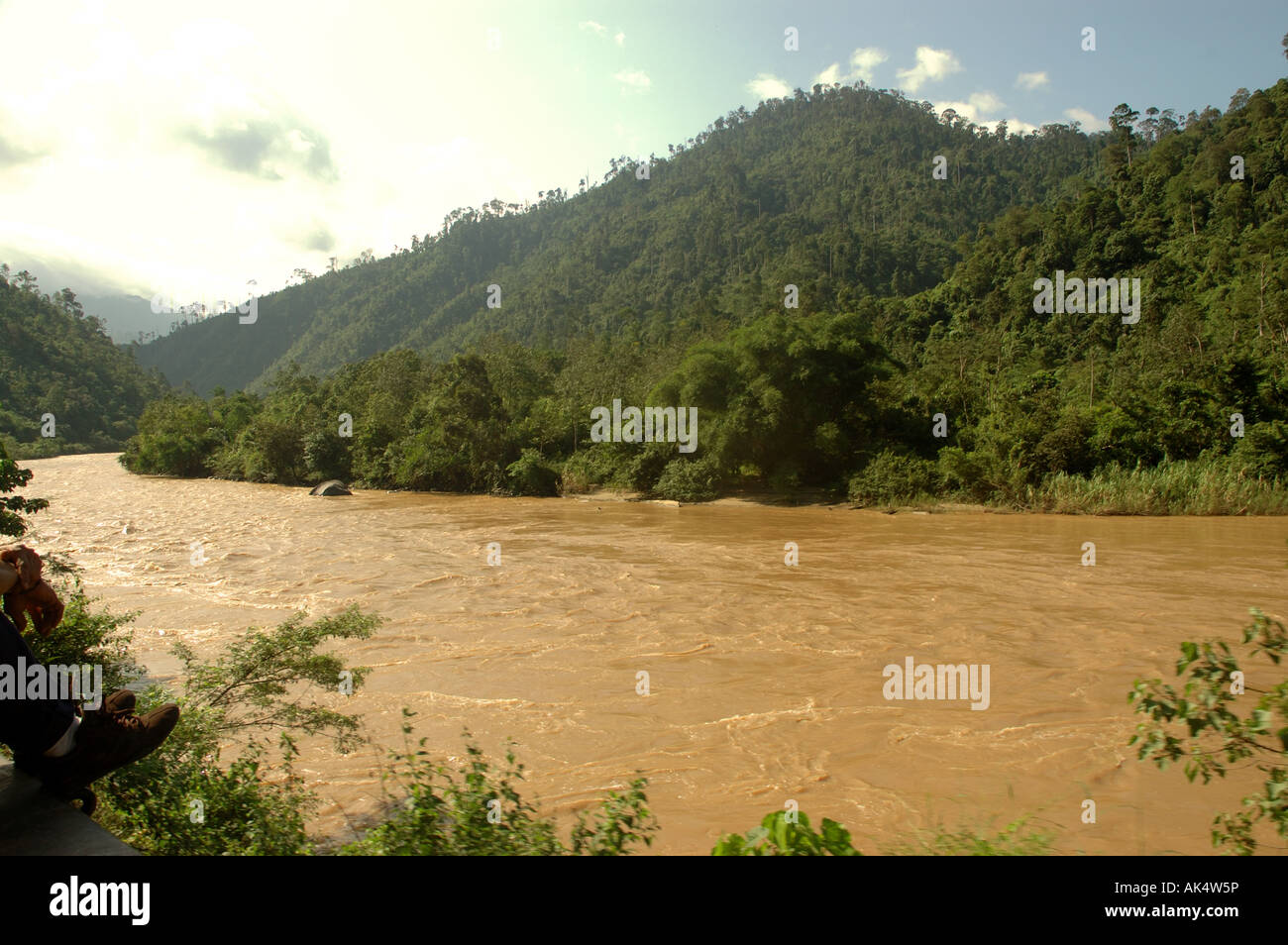 Thick Muddy Rivers of Borneo running through Forest Stock Photo Alamy