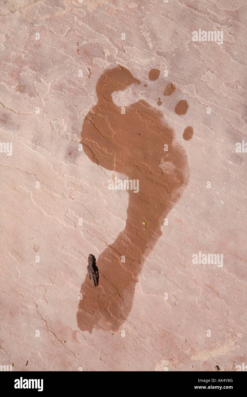 Wet footprints on pink stone, Marrakesh, Morocco. Stock Photo