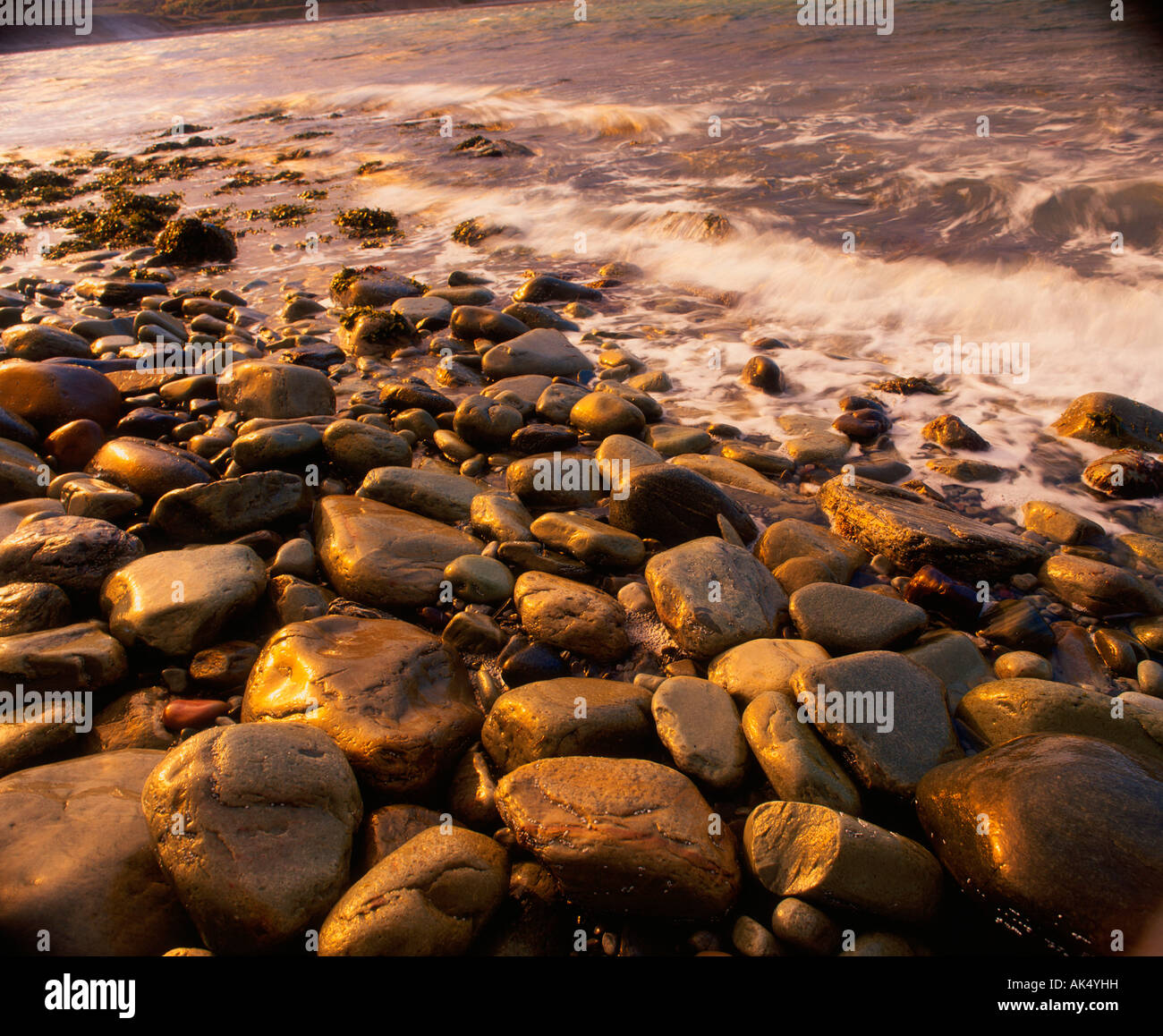 Stones at beach Stock Photo