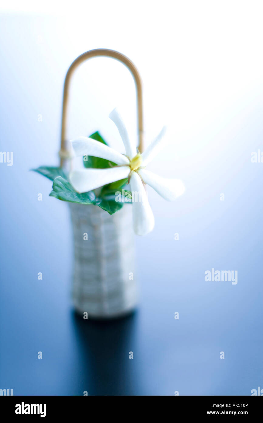 Japanese Flower arrangement Stock Photo Alamy
