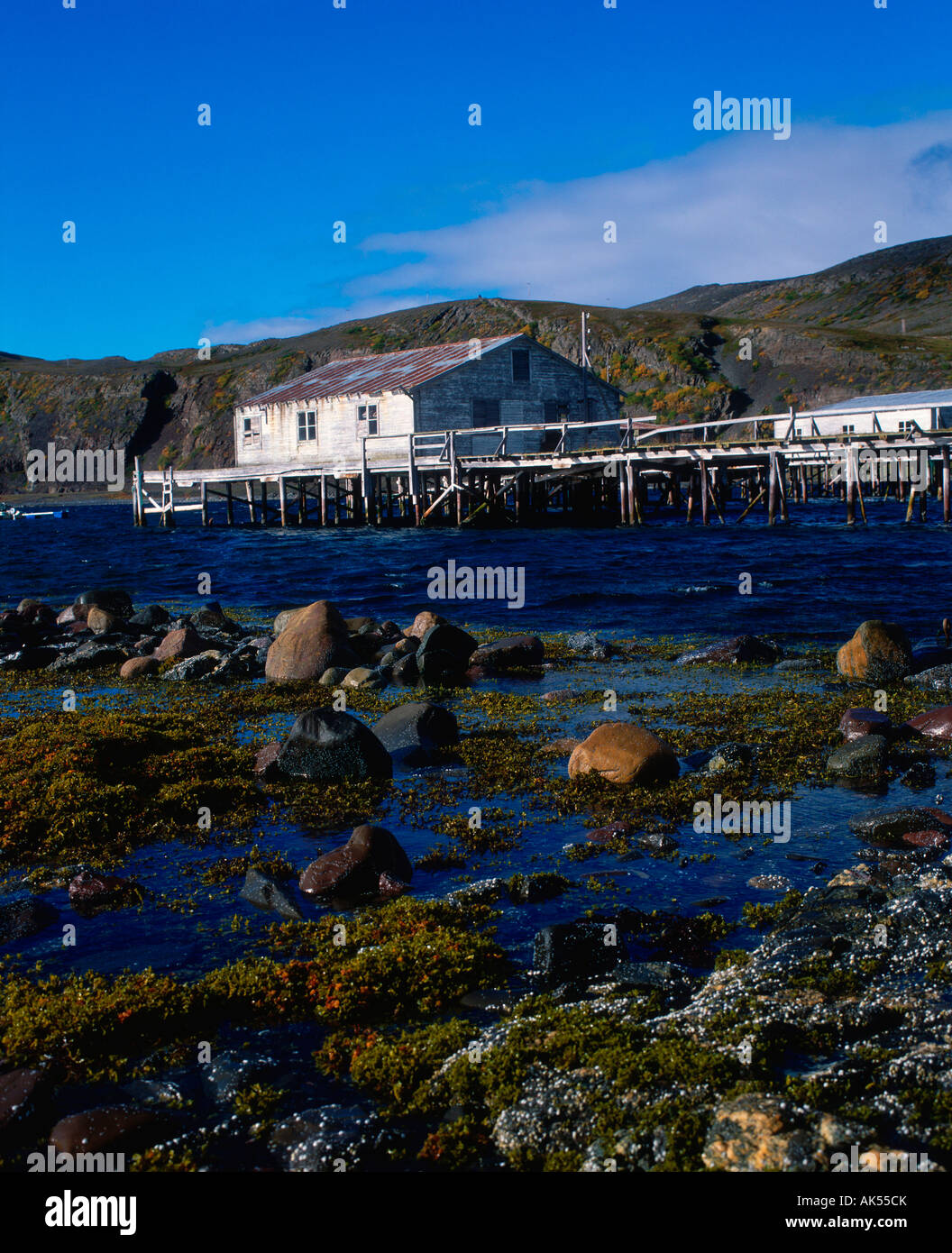Kongsfjord, Fishing hut Stock Photo