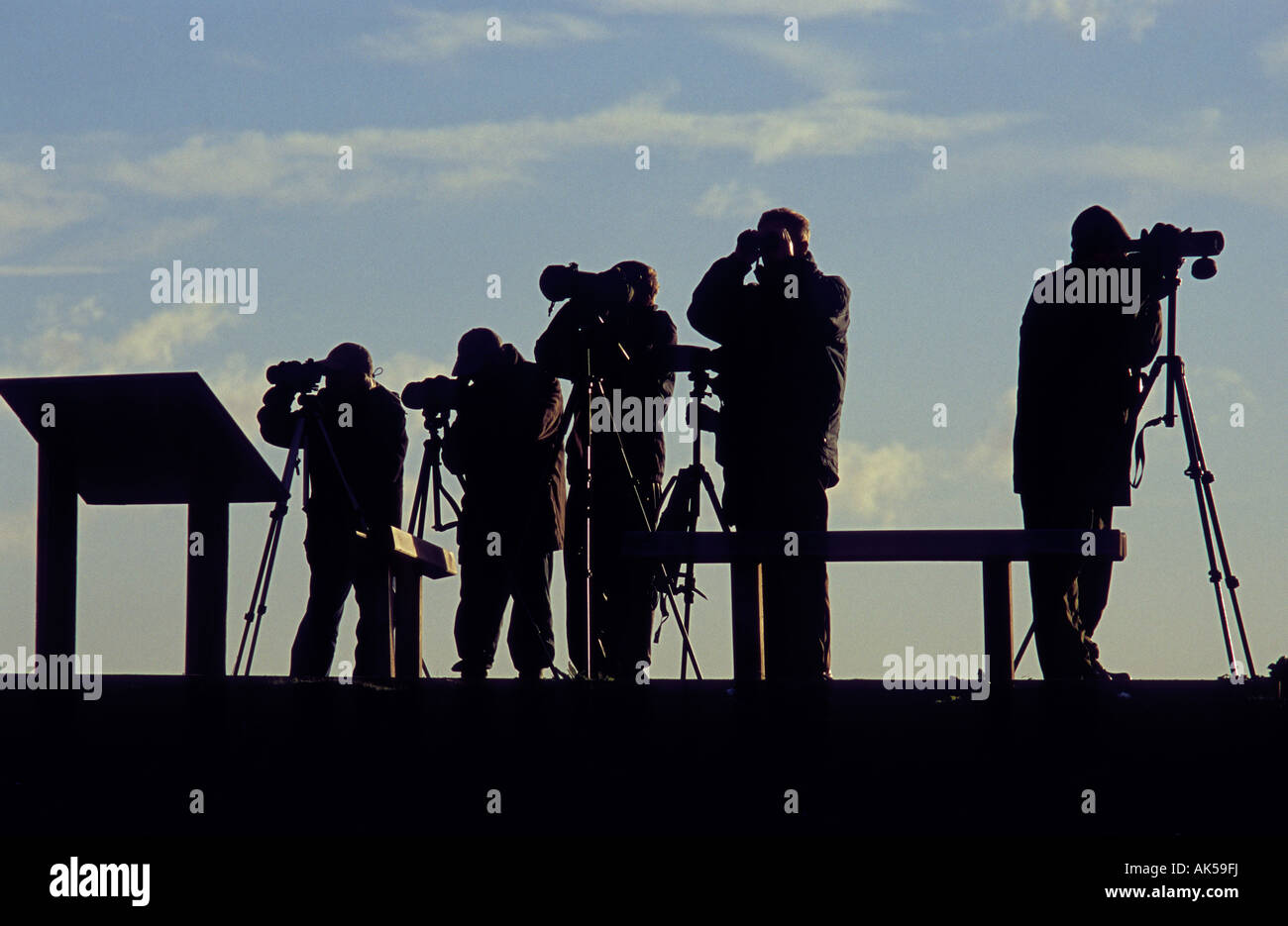 Raptor viewpoint hi-res stock photography and images - Alamy