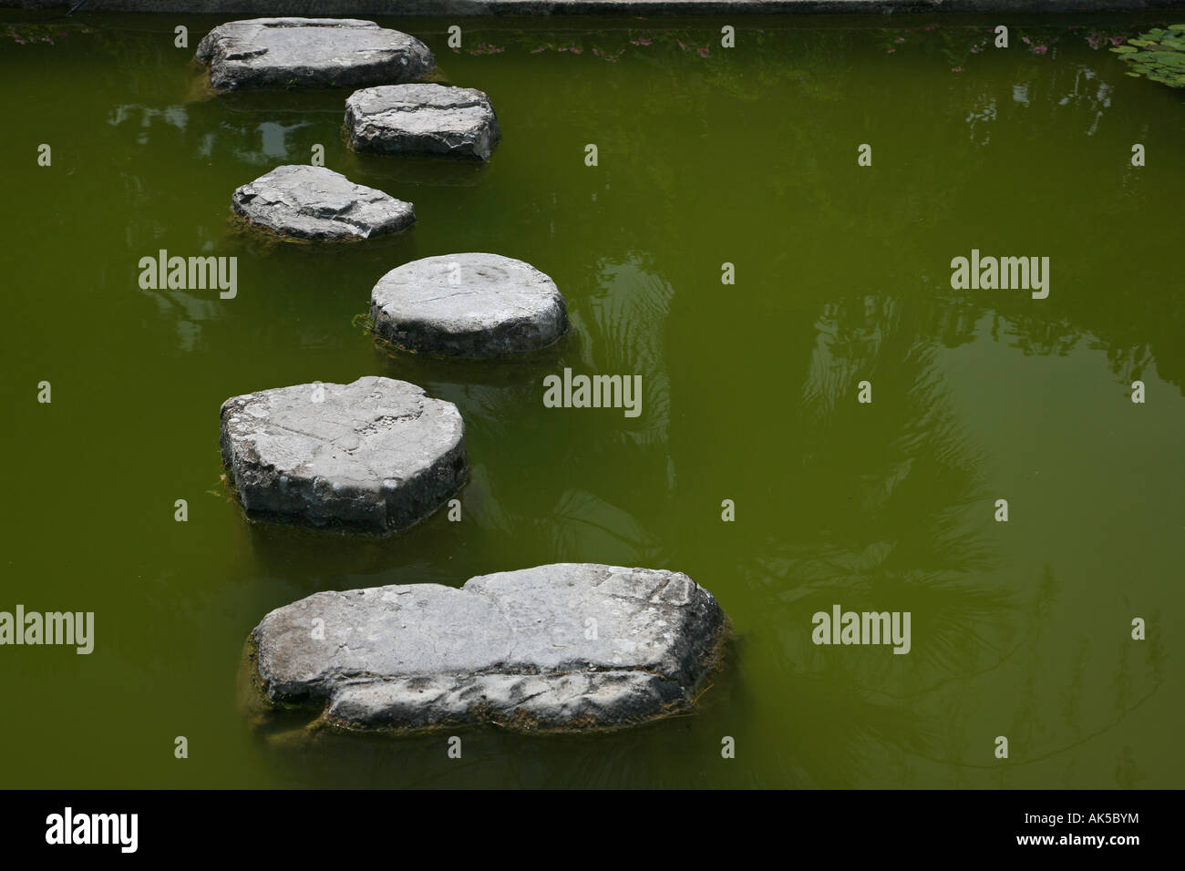 Stepping stones to success hi-res stock photography and images - Alamy