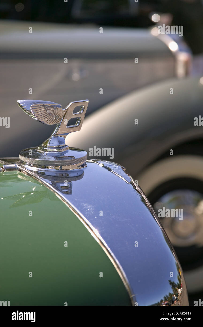 1950 Bentley hood ornament All British Field Meet classic car show Bellevue Community College