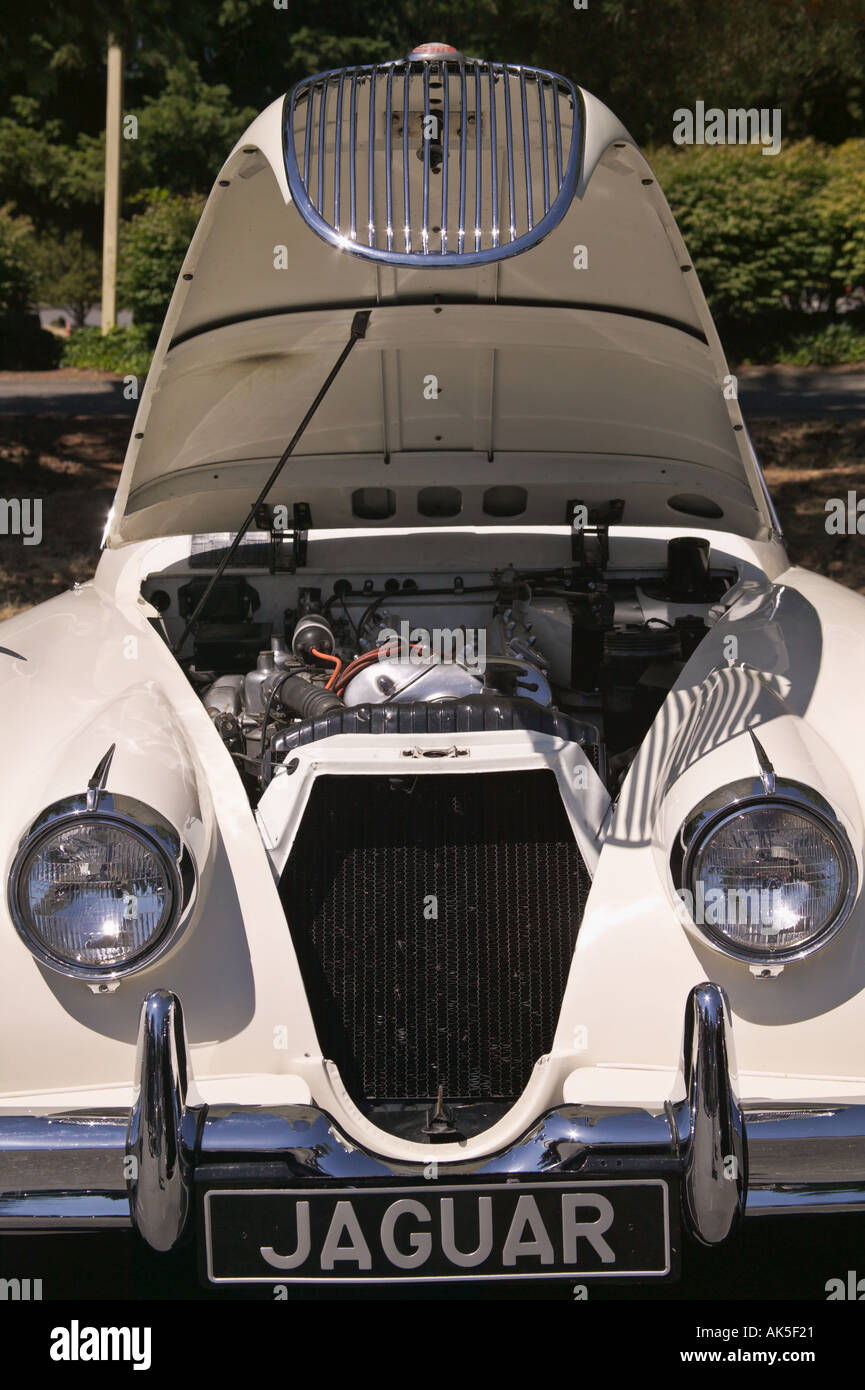 1959 Jaguar XK150 All British Field Meet classic car show Bellevue