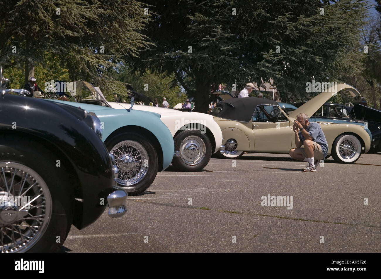 Tan 1935 XK120 stands out in line of Jaguar sports cars at All British Field Meet classic car