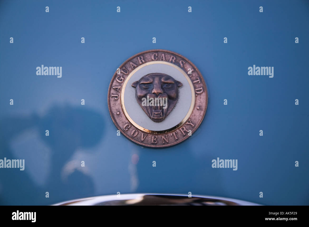 Hood Emblem 1954 Jaguar XK120 All British Field Meet classic car show Bellevue Community College