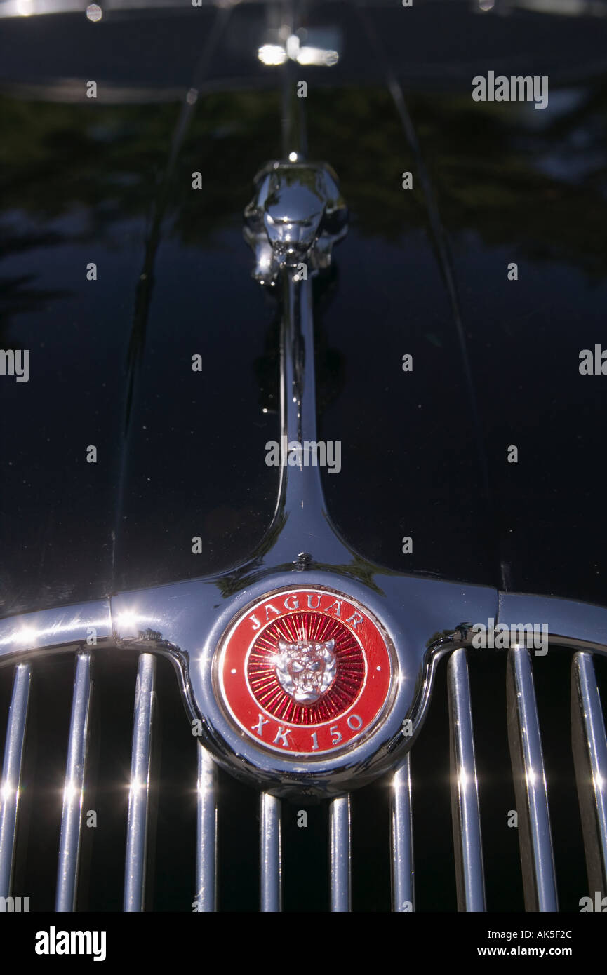 Hood Emblem Ornament and Grille 1958 Jaguar XK150 All British Field Meet classic car show