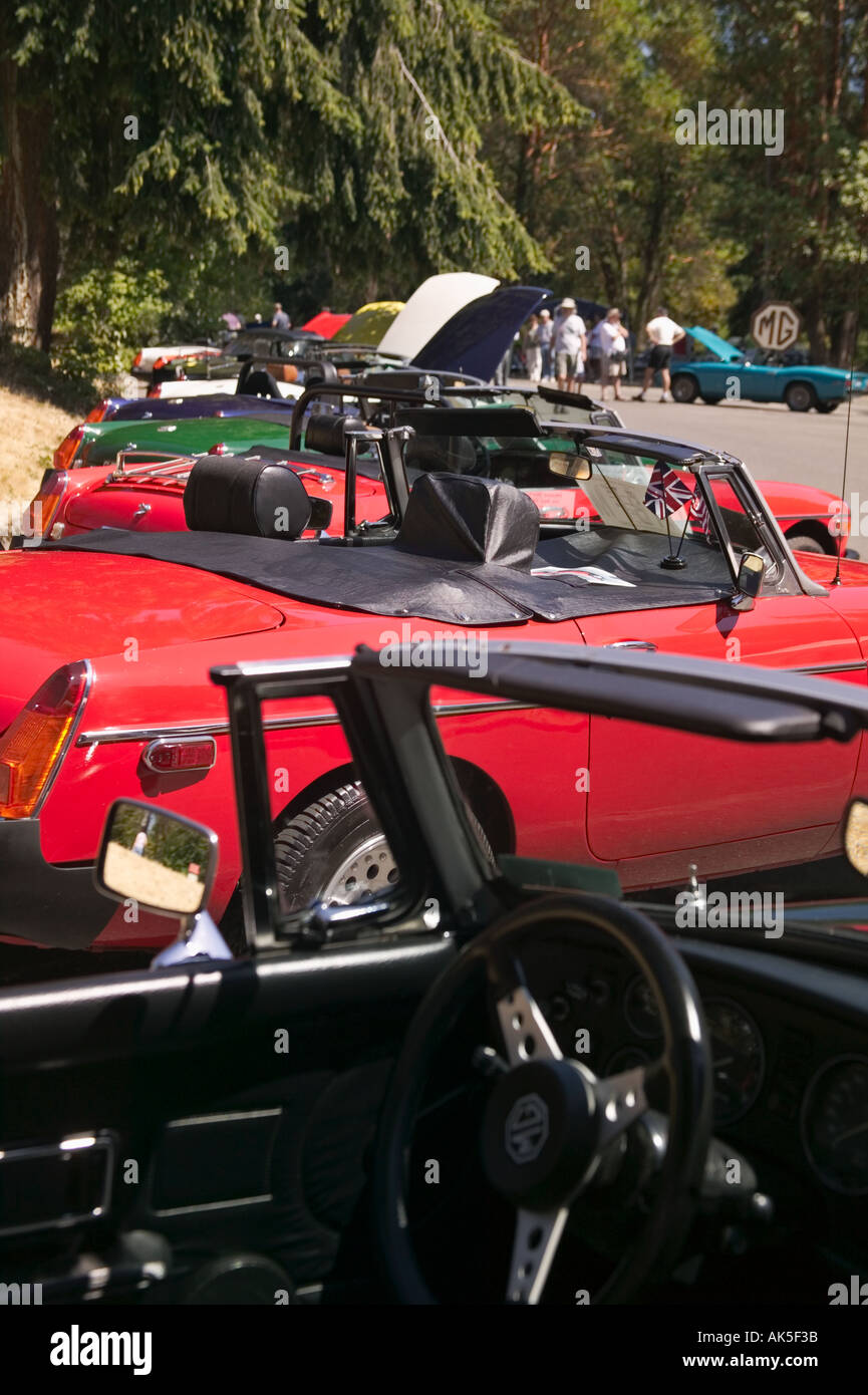 Line of mid 1975 MGBs at All British Field Meet classic car show