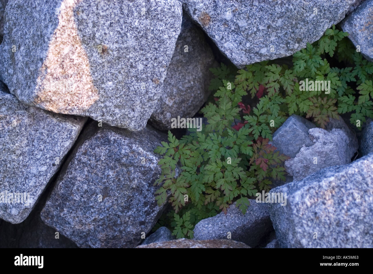 pile of rocks for roadconstruction Stock Photo - Alamy