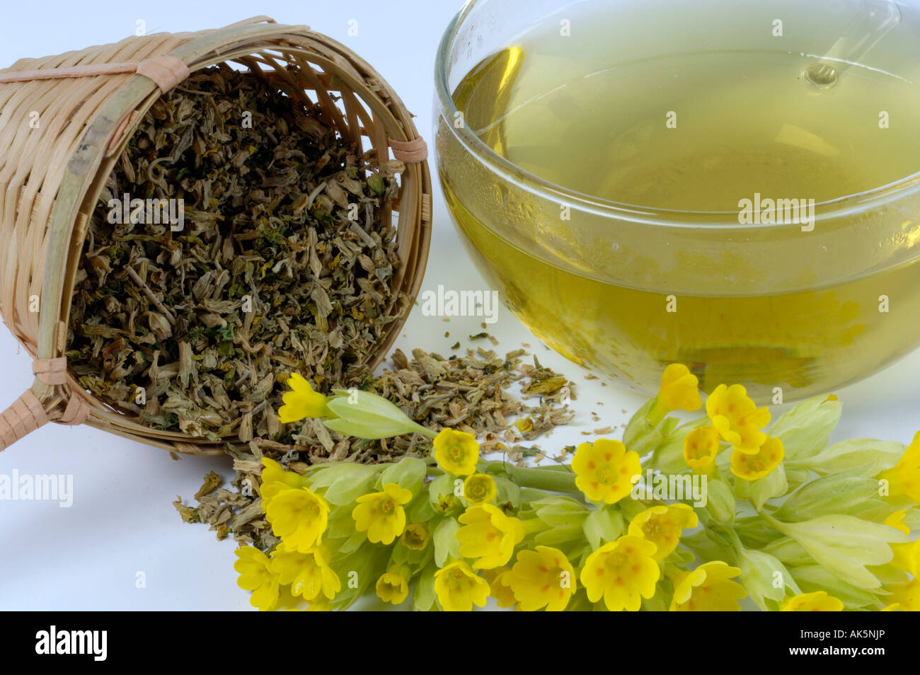 Cowslip tea Stock Photo