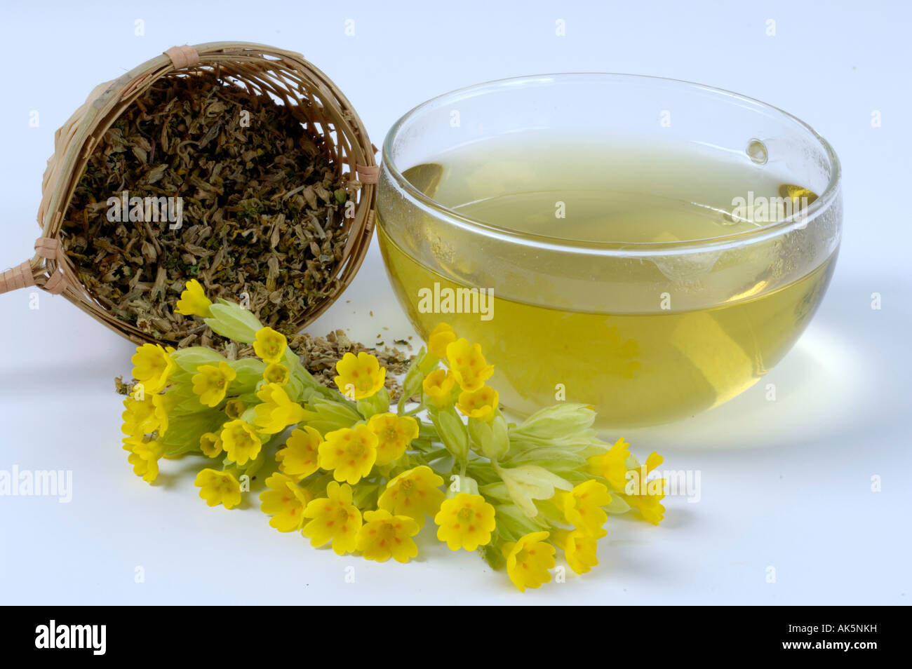 Cowslip tea Stock Photo