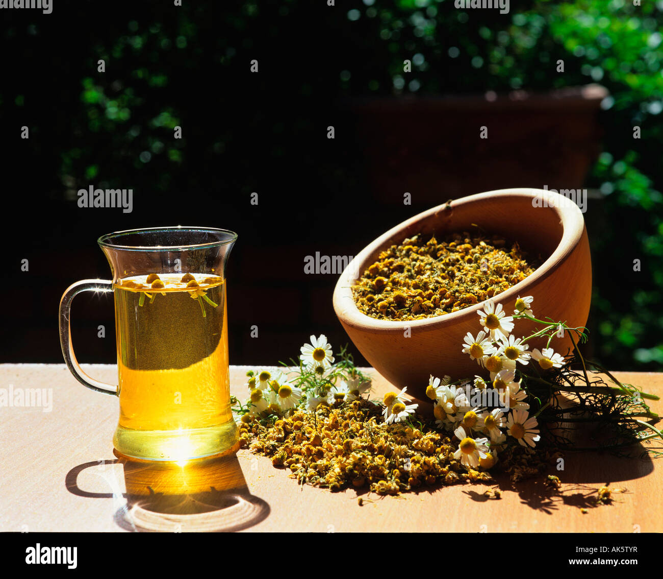 Camomile tea hi-res stock photography and images - Alamy