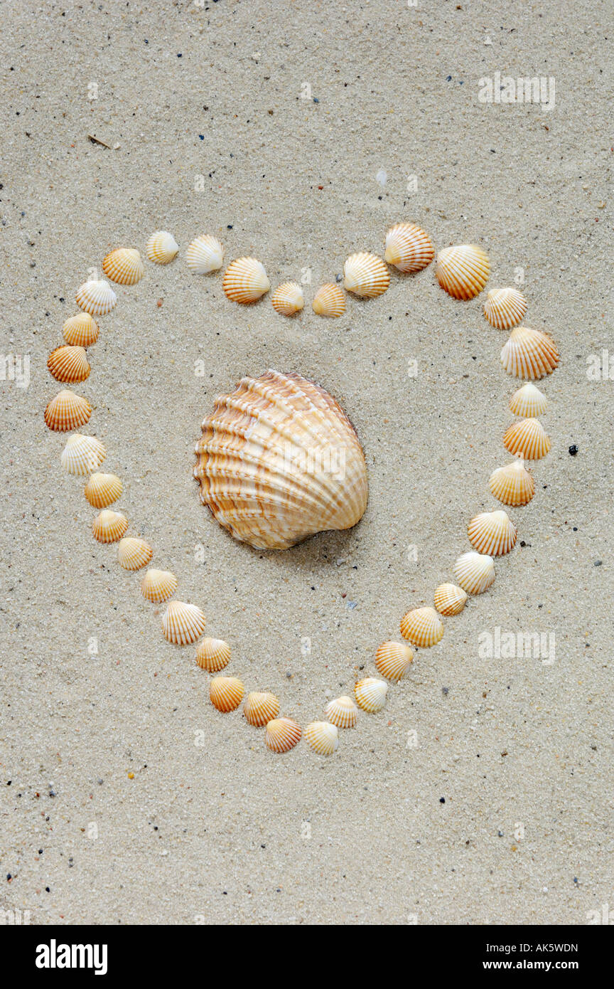 Heart of shells Stock Photo - Alamy
