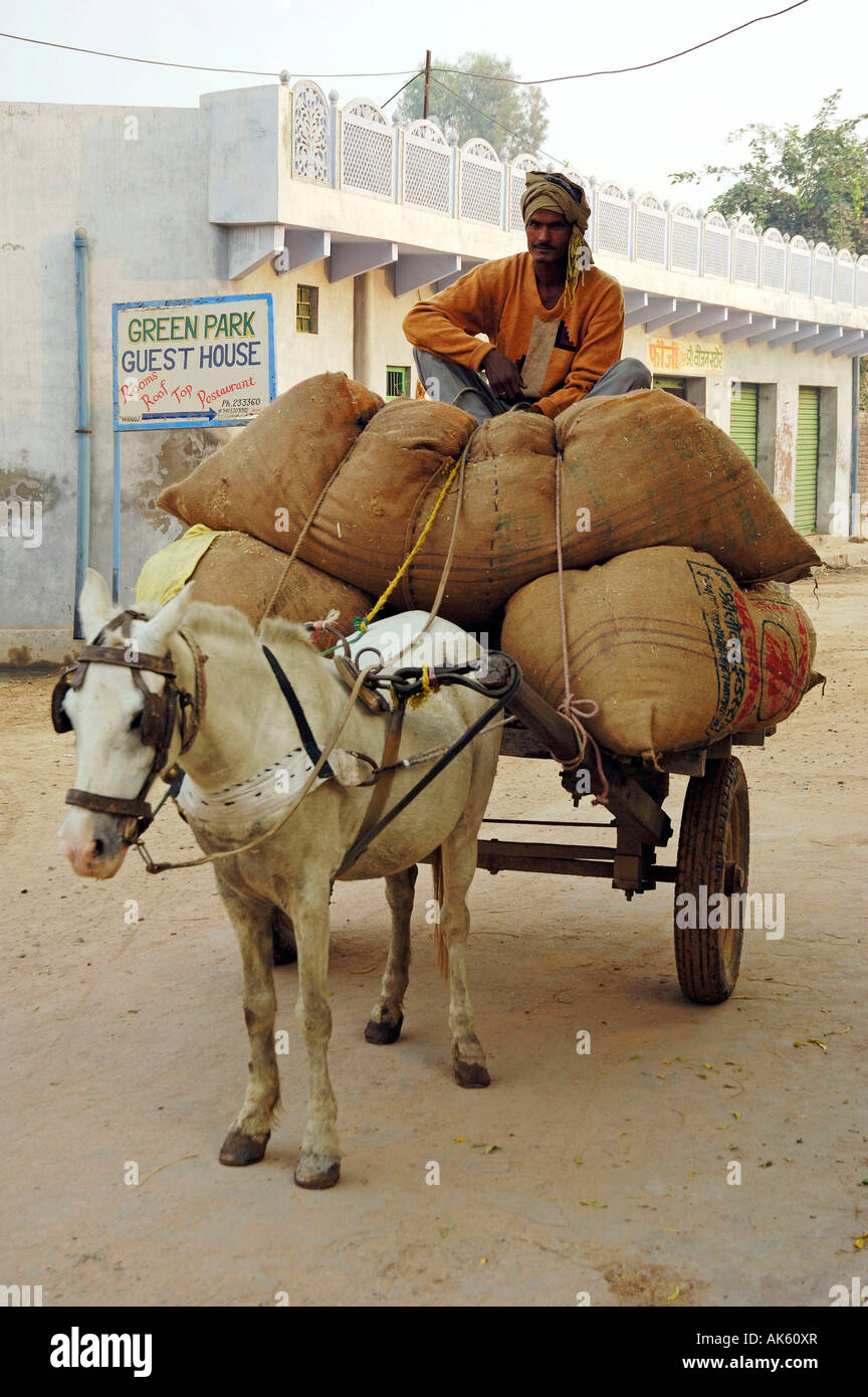 Horse cart india hires stock photography and images Alamy