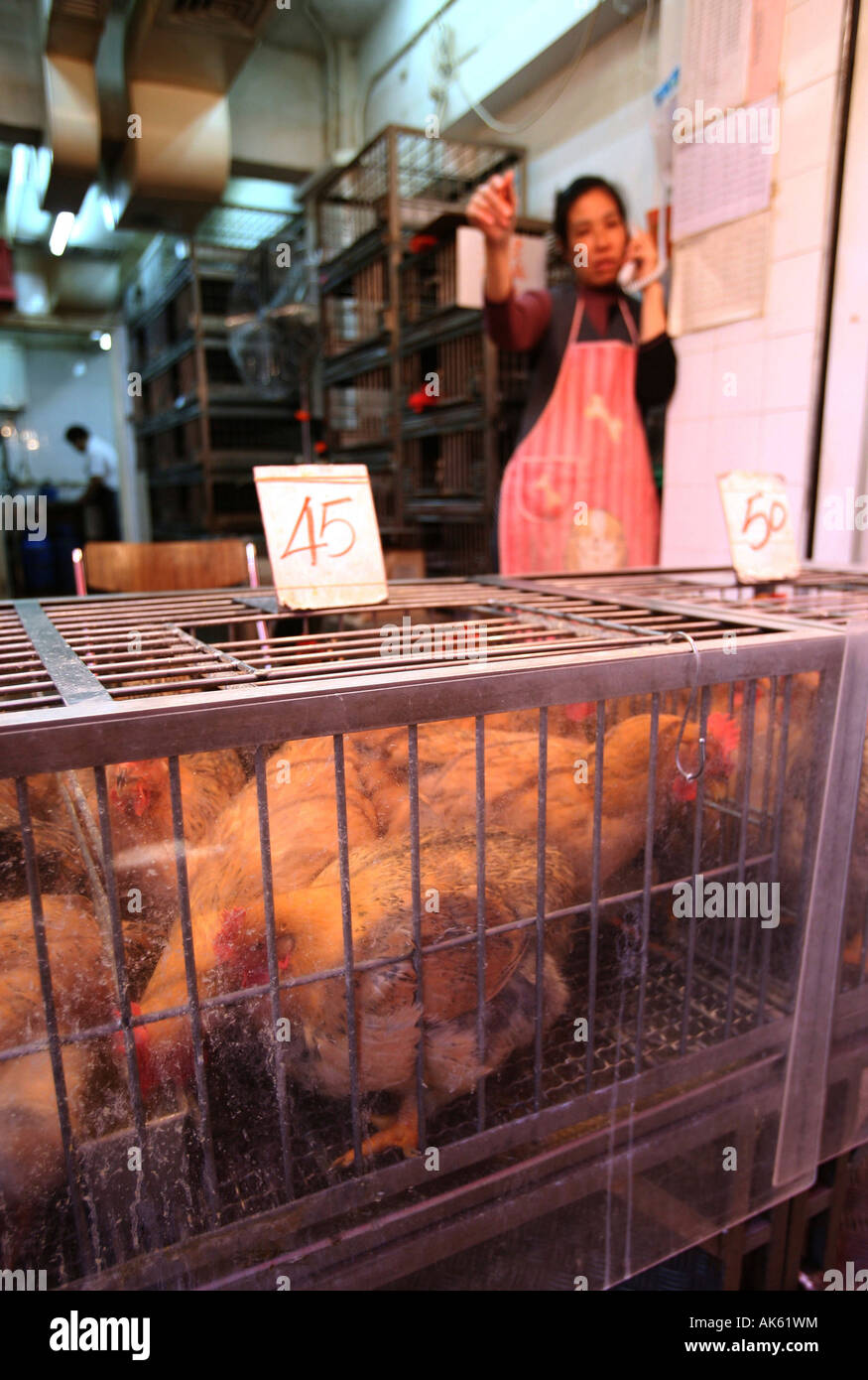 Live chickens on sale in a market in Kowloon Stock Photo Alamy