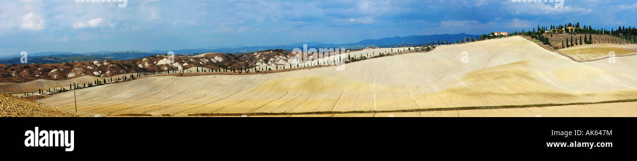 Classic view of the La Crete region of Tuscany near Sienna famous for it's rolling clay hills and isolated farm houses Italy EU Stock Photo