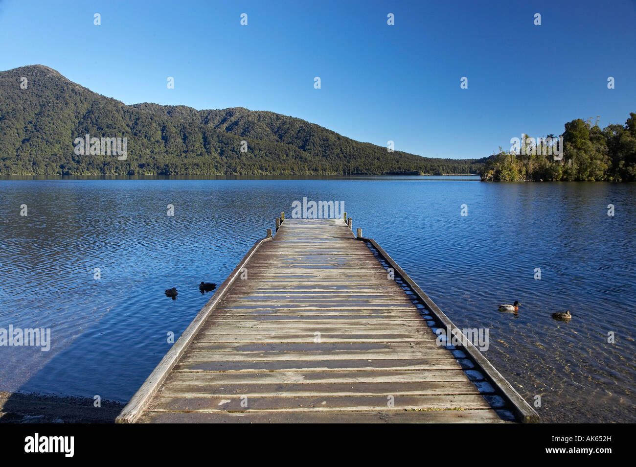 Jetty Lake Kaniere West Coast South Island New Zealand Stock Photo