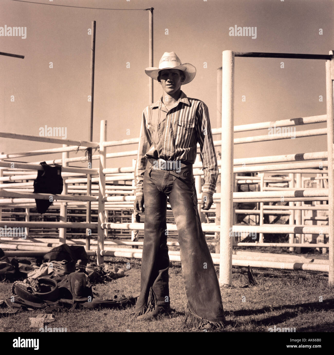 Rodeo Cowboy Tenants Creek, Australia Stock Photo - Alamy