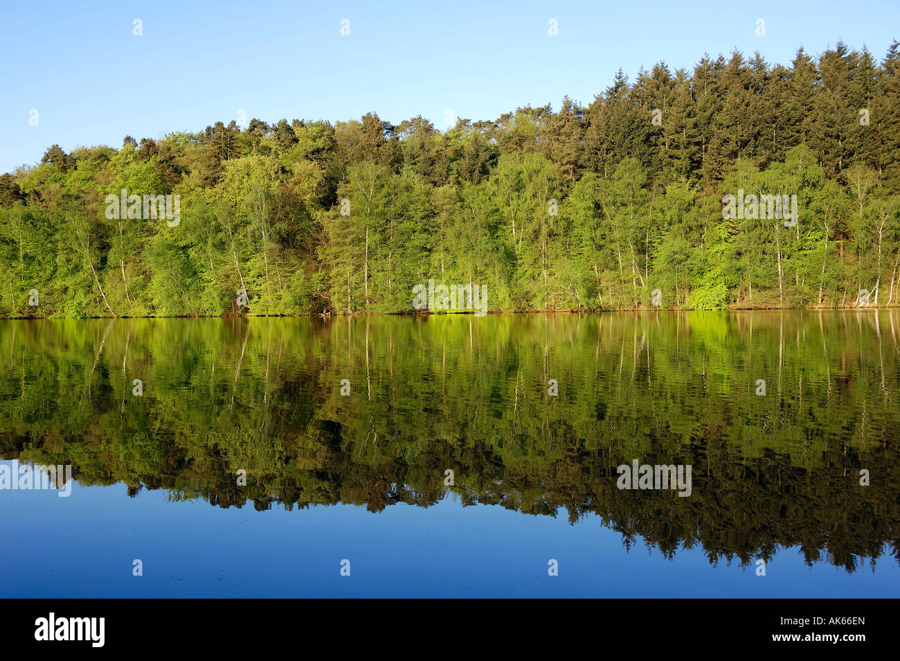 Salem pond hi-res stock photography and images - Alamy