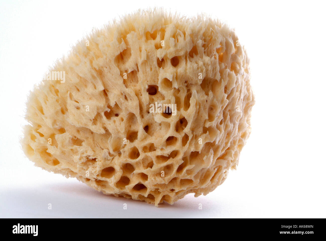 Sponge studio hi-res stock photography and images - Alamy